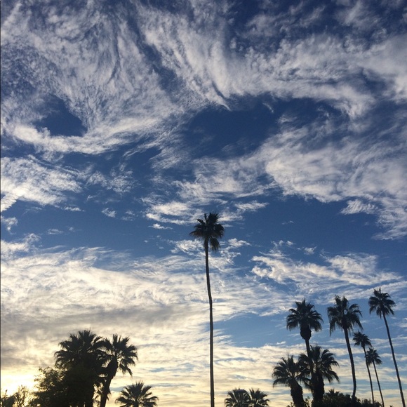 Meet your Posher, Vida - Picture 10 of 14